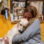 Who does your dog love more: you or them?