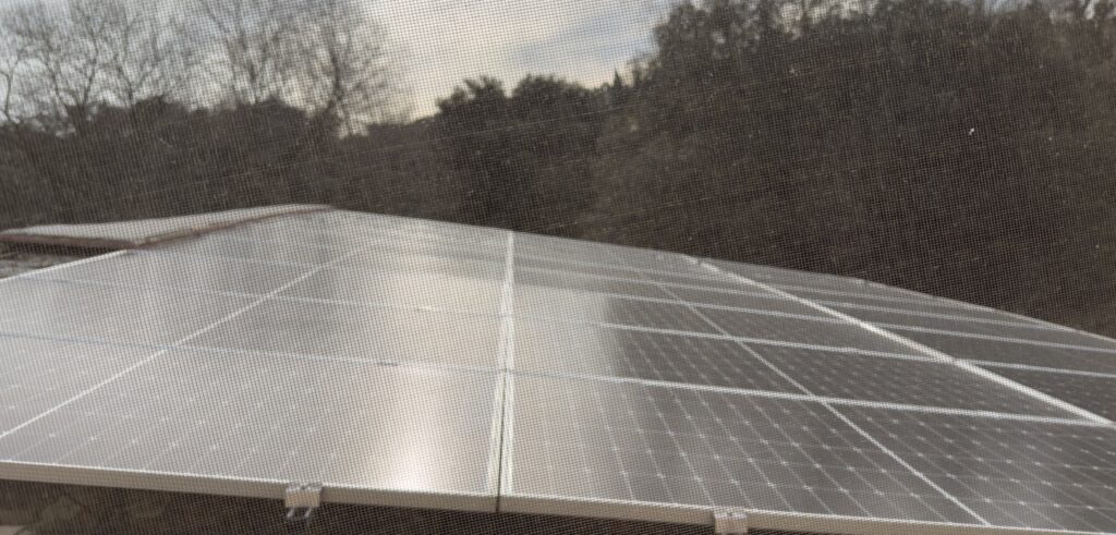 Mas Torrencito: cuando ser petfriendly también significa ser energéticamente responsable ☀️🐾