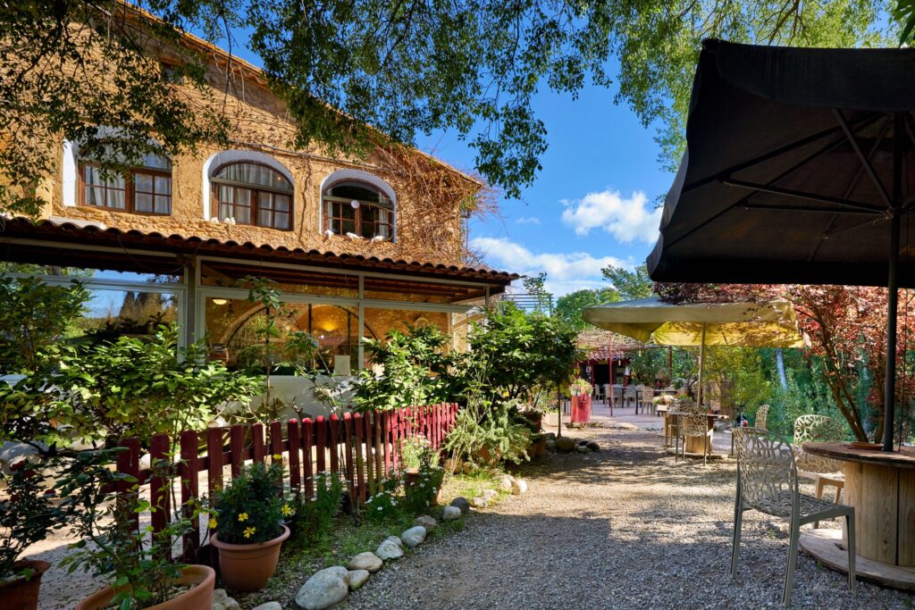 propuestas de turismo con perros