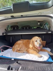 Manuela en el coche.. preparada para su viaje
