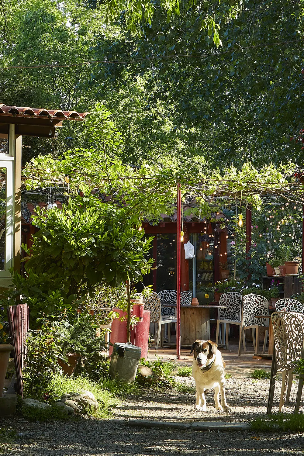 Photo 2/5 — Gîte insolite « Mas Torrencito PetFriendly · Parets d'Empordà, Girona » à Parets d'Empordà, Girona, Spain Pyréné…