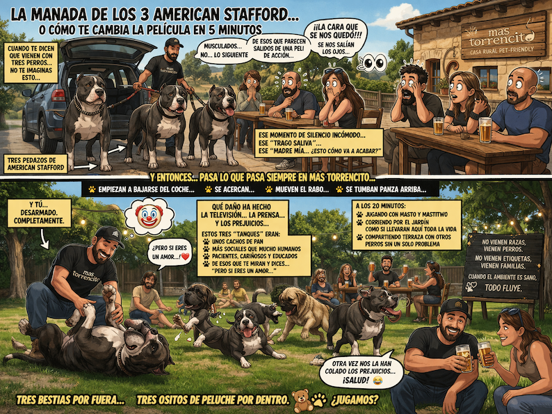Tres perros American Staffordshire Terrier llegando a la terraza de una casa rural pet-friendly en Girona, sorprendiendo a los huéspedes y mostrando su carácter sociable y cariñoso