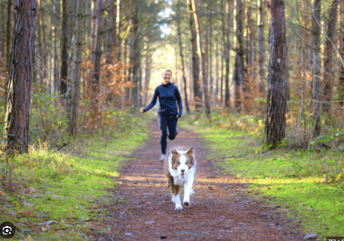 Mujer corriendo con su perro border collie por un sendero de pinos en Girona