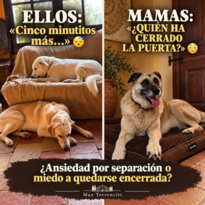 Mamas junto a una puerta cerrada mientras Masto y Mastitwo descansan. Ilustración sobre la ansiedad por separación en perros.
