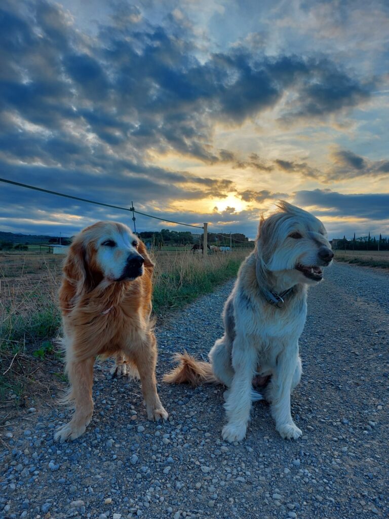 Veroño a cuatro patas: la ruta circular