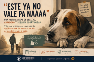 Perro fiel esperando a su dueño tras una hospitalización, ilustración emocional sobre lealtad canina y plan de emergencia para mascotas.