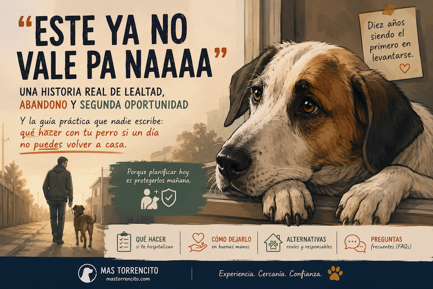 Perro fiel esperando a su dueño tras una hospitalización, ilustración emocional sobre lealtad canina y plan de emergencia para mascotas.